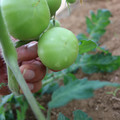 080003_20181107123059_01.JPG