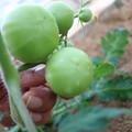 080003_20181107123100_04.JPG