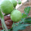080003_20181107123100_05.JPG
