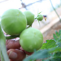 080003_20181107123102_05.JPG