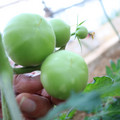 080003_20181107123103_01.JPG
