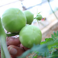 080003_20181107123103_02.JPG