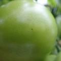 210001_20180320094545_01.JPG