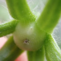210002_20171226144209_01.JPG