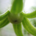 210002_20171226144307_01.JPG