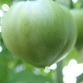210002_20180206095740_01.JPG
