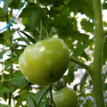 210002_20180206100607_01.JPG