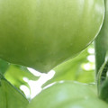 210002_20180219145701_01.JPG