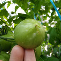 210002_20180220102745_01.JPG