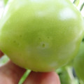 210002_20180226141840_01.JPG