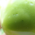 210002_20180226141851_01.JPG