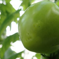 210002_20180226141905_01.JPG