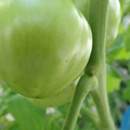 210002_20180226141948_01.JPG