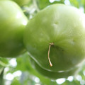 210002_20180226142050_01.JPG