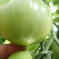 210002_20180226142106_01.JPG