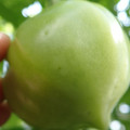 210002_20180226142116_01.JPG