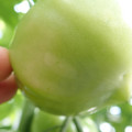 210002_20180226142121_01.JPG