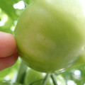 210002_20180226142127_01.JPG