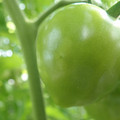 210002_20180226142322_01.JPG