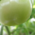 210002_20180226142417_01.JPG