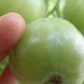 210002_20180226142529_01.JPG