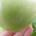 210002_20180226142610_01.JPG