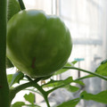 210002_20180226142647_01.JPG