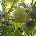 210002_20180226155806_01.JPG