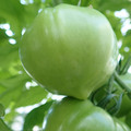 210002_20180306092750_01.JPG