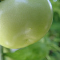 210002_20180306092926_01.JPG