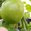 210002_20180306095040_01.JPG