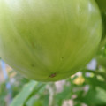 210002_20180313111352_01.JPG