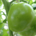 210002_20180313111531_01.JPG