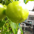 210002_20180313131256_01.JPG
