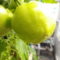210002_20180313131259_01.JPG