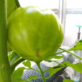 210002_20180313131549_01.JPG