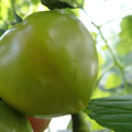 210002_20180328145315_01.JPG