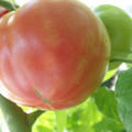 210002_20180328145459_01.JPG