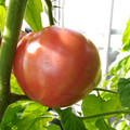 210002_20180328151655_01.JPG