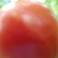 210002_20180403094626_01.JPG