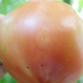 210002_20180410091533_01.JPG