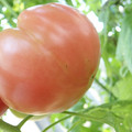 210002_20180410091739_01.JPG