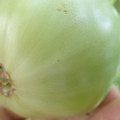 210002_20180410091900_01.JPG