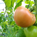 210002_20180410092938_01.JPG