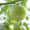210005_20180116113000_01.JPG