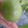 210005_20180219144333_01.JPG