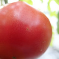 210005_20180219144503_01.JPG