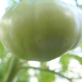 210005_20180226140430_01.JPG