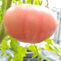 210005_20180320100434_01.JPG