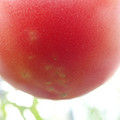 210005_20180328143910_01.JPG